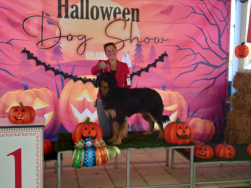 CACIB Oradea 2024 BOB