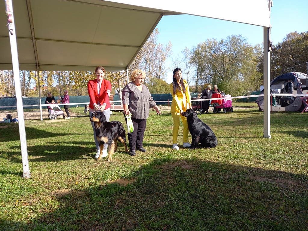 CACIB Oradea 2024 BOB