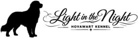 Hovawart Kennel - Light in the Night