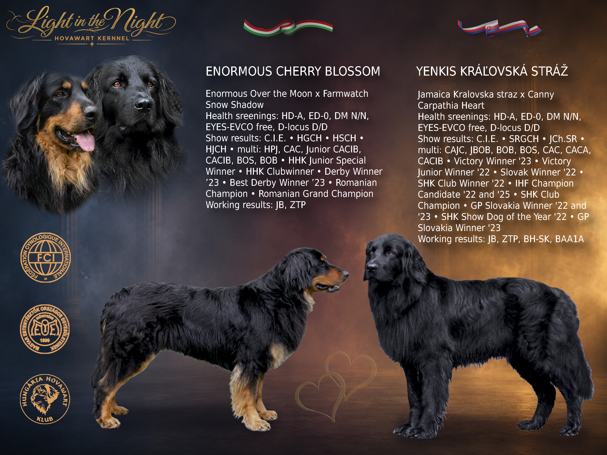 Fedeztetés Hovawart Kennel